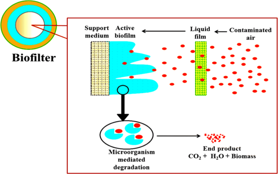 Microbes: Can be the Best Solution for Environmental Pollution