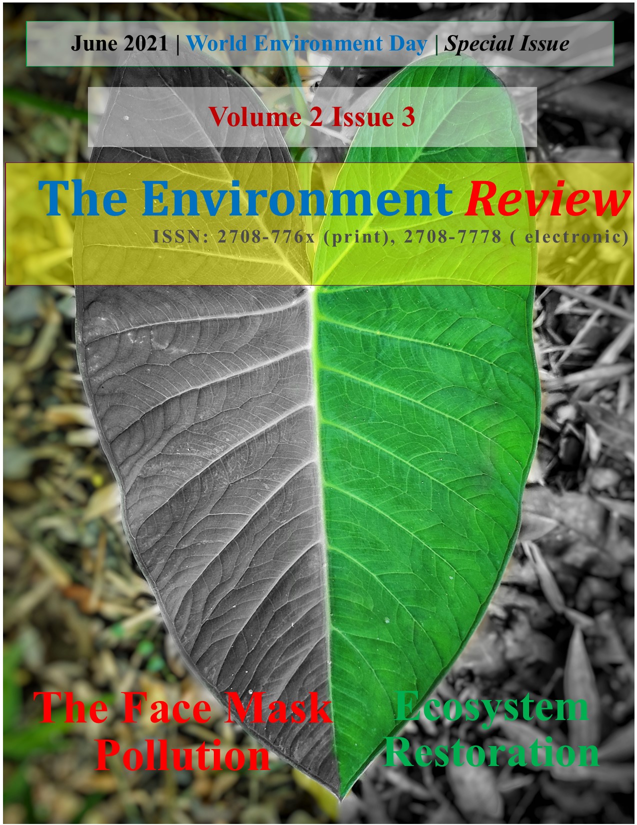 Volume 2 Issue 3