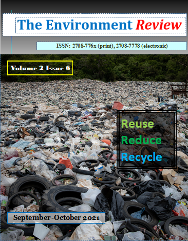 Volume 2 Issue 6